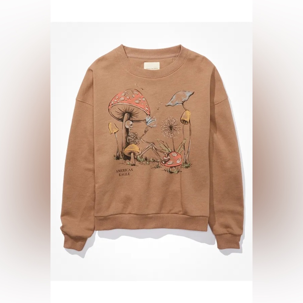 American Eagle Outfitters Graphic Sweatshirt
